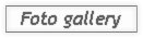 17 Foto Gallery_compressed.pdf